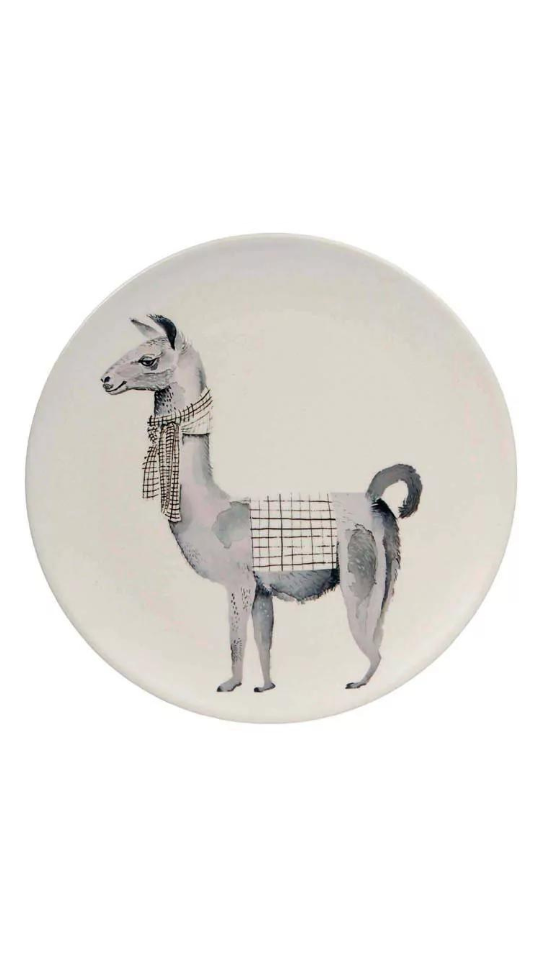Dekorativer Teller mit der Abbildung eines Lamas mit Schal, zentriert vor einem schlichten weißen Hintergrund, perfekt als Nuukk TELLER.